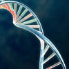 Largest DNA scan for familial autism finds two genetic links