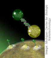 Nanoparticles deliver drugs directly into targeted cells