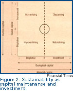 Sustainability as capital maintenance and investment