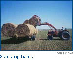 stacking bales