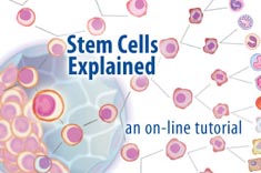 Learn about stem cells in U-M