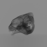 Computed tomography voxel dataset for ummz:mammals:127168-Dactylomys boliviensis-WholeBody thumbnail