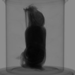 Computed tomography voxel dataset for ummz:mammals:112960-Desmodus rotundus-WholeBody-DiceCT thumbnail