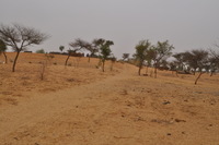 Jamsay-speaking (Dogon, Mali) village photos thumbnail