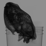 Computed tomography voxel dataset for ummz:mammals:163808-Crocuta crocuta-WholeBody thumbnail