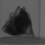 Computed tomography voxel dataset for ummz:mammals:93467-Eptesicus fuscus FUSCUS-WholeBody-DiceCT thumbnail