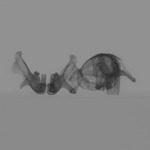 Computed tomography voxel dataset for ummz:mammals:113417-Cryptomys DARLINGI-Skull thumbnail