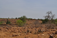 Atlantic Fulfulde-speaking (Mali) village photos thumbnail