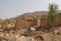 Yanda Dom-speaking (Dogon, Mali) village photos thumbnail