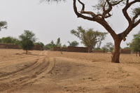 Tomo Kan-speaking (Dogon, Mali) village photos thumbnail