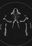 Computed tomography voxel dataset for ummz:mammals:85357-Alouatta belzebul-WholeBody thumbnail