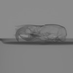 Computed tomography voxel dataset for ummz:mammals:118233-Rheomys THOMASI CHIAPENSIS-Skull thumbnail